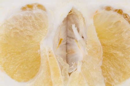 Central part of a ripe oroblanco fruit, that was cut lengthwise, top view close-up, textureの写真素材