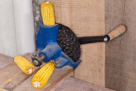 Old manual desk peeler for cleaning corn cobs from grains in a small private farmの写真素材