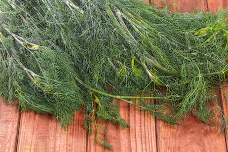 Bunch of the stems of freshly harvested dill on an old wooden rustic table, fragment close-up