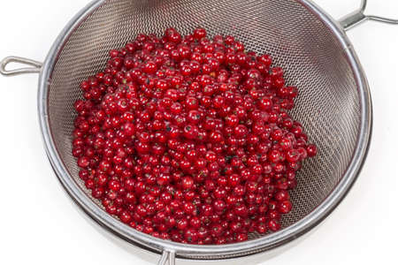 Washed berries of the ripe redcurrant in the stainless steel sieve on a white background, fragment...