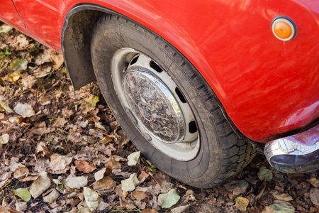 Front wheel and part of the wing of the old red car on a background of ground covered with fallen...