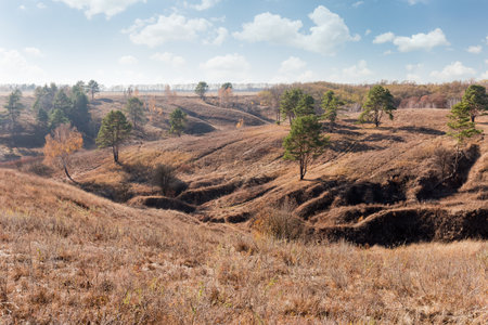 Steep slopes of valley with ravines overgrown with single pines and deciduous trees and covered with tall withered grass at autumn sunny dayの写真素材