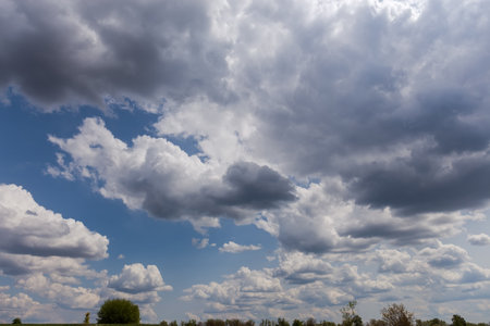 Section of the sky with cumulus and rain clouds over the tree tops on a horizonの写真素材