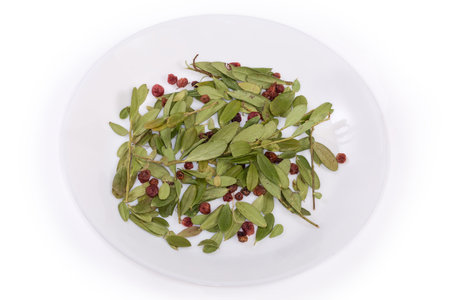 Dried leaves and berries of Vaccinium vitis-idaea, also known as lingonberry or cowberry on a white dish on a white backgroundの写真素材