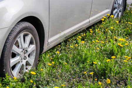 Fragment of the side bottom part of car and wheels on the meadow overgrown with blooming dandelion...