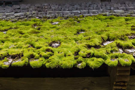 Fragment of the medieval wooden church, part of roof of the first tier made with wooden shingle overgrown with moss close-upの写真素材