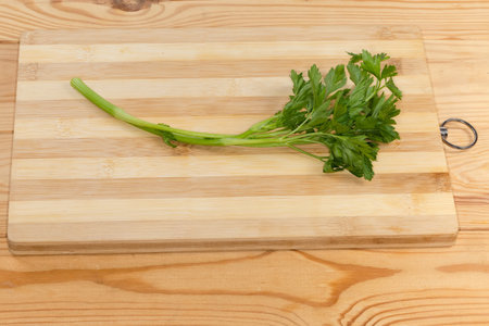 Single twig of the fresh parsley on a bamboo wooden cutting board on the rustic tableの写真素材