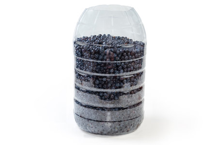 Freshly harvested wild bilberries in the plastic transparent container on a white backgroundの写真素材