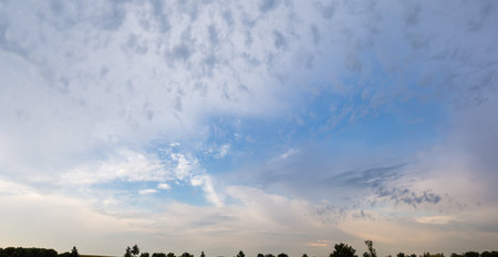 Fragment of the sky with different types of clouds over the trees silhouettes on a horizon in summer evening, panoramic viewの写真素材