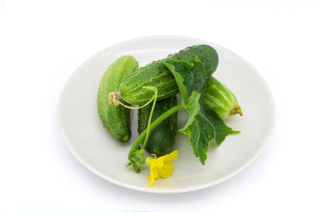Freshly harvested green cucumbers with stem with leaves, tendrils and flowers on a white dish on a white backgroundの写真素材
