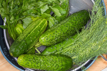 Washed fresh green cucumbers, dill and parsley covered with water drops in the stainless steel sieve on a bowl, fragment top view close-upの写真素材