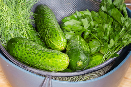 Washed fresh green cucumbers, dill and parsley covered with water drops in the stainless steel sieve on a bowl, close-up in selective focusの写真素材