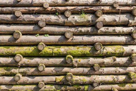 Part of the protect retaining structure in the form of the wooden logs crib wall partly overgrown with moss in sunny day, backgroundの写真素材