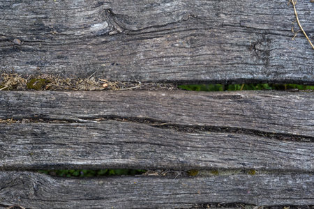 Texture of the old dark wooden planks as a covering of the narrow footbridge, top view in overcast weatherの写真素材