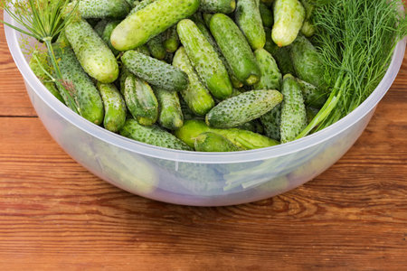 Big kitchen plastic bowl with freshly harvested green cucumbers different sizes and some greens on the rustic table, fragment close-upの写真素材