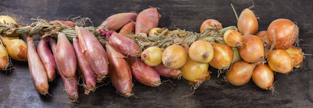 Bundle of freshly harvested common and shallot onions bulbs braided in a row lies on the black surface, panoramic viewの写真素材
