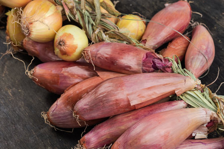 Bundle of freshly harvested red shallot and common onions bulbs braided in a row lies on the black surface, fragment close-up in selective focusの写真素材