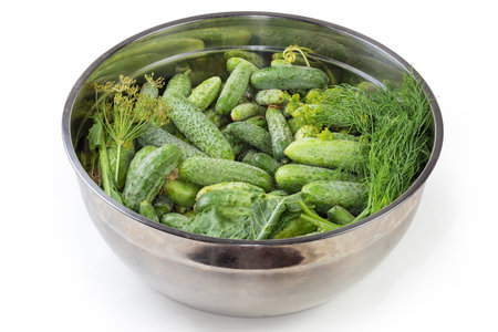 Freshly harvested green cucumbers different sizes and some greens in the big kitchen stainless steel bowl on a white backgroundの写真素材