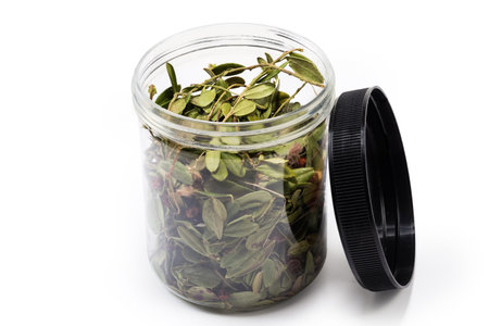 Dried leaves, twigs and berries of Vaccinium vitis-idaea, also known as cowberry in the plastic transparent container with removed lid on a white backgroundの写真素材