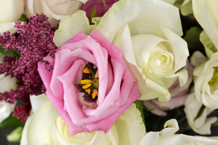 White and pink roses among the other roses and white eustoma in the bouquet, fragment close-upの写真素材