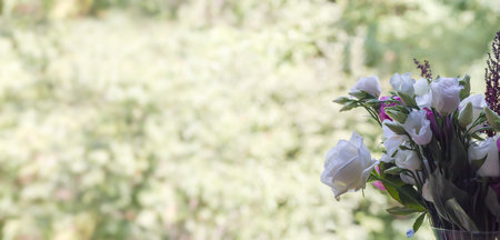 Part of the bouquet of the white roses and eustoma located on the right on a light green blurred background, panorama with empty center and left partの写真素材