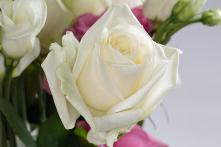 White rose among the other multicolored roses and white eustoma in the bouquet, fragment close-upの写真素材