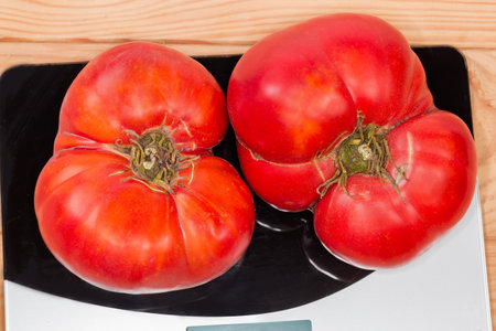 Two big whole ripe pink tomatoes on the household digital table top kitchen scale, top view on the rustic tableの写真素材