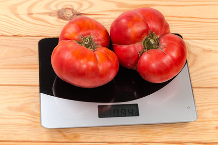 Two big whole ripe pink tomatoes on the household digital table top kitchen scale on the rustic tableの写真素材