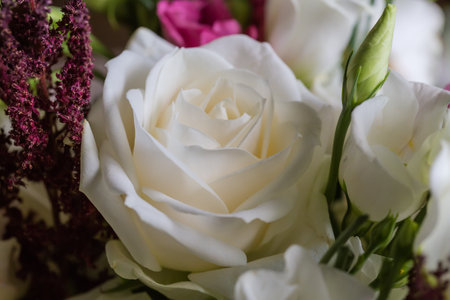 White rose among the other multicolored roses and white eustoma in the bouquet, fragment close-upの写真素材