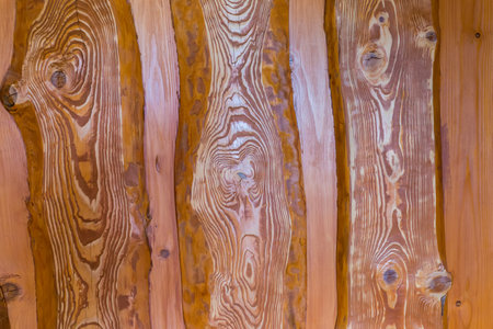 Fragment of the wall covered with vertically arranged varnished natural spruce planks with pronounced annual growth linesの写真素材