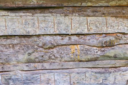Fragment of the external wall of the medieval building made with wooden logs, partly rotten in overcast weatherの写真素材