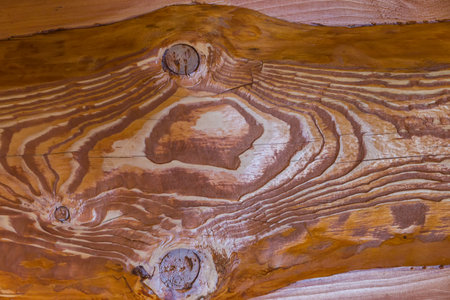 Fragment of the varnished natural spruce plank with knot and pronounced annual growth linesの写真素材