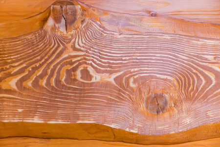 Fragment of the varnished natural spruce plank with knot and pronounced annual growth linesの写真素材