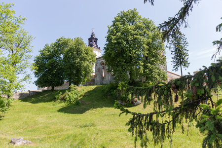 Former fortified Dominican Monastery 15th century, outside view of  monastery part with fir branch on a foreground in sunny day, Pidkamin village, Ukraineのeditorial素材