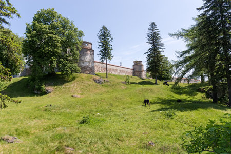 Former Dominican Monastery 15th century, outside view of the monastery fortified wall with towers and hilly lawn on a foreground in sunny day, Pidkamin village, Ukraineのeditorial素材