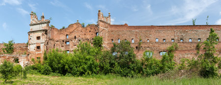 Ruins of the brick defense tower and wall of the mediaeval castle overgrown with different shrubs in Stare Selo village, Ukraine. Panoramic view from the inner courtyard sideのeditorial素材