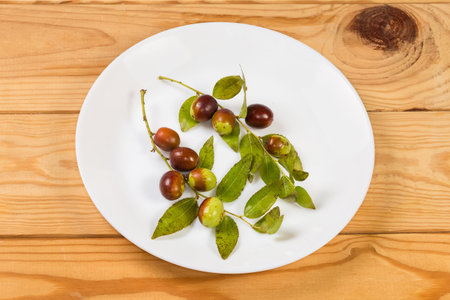 Two small branches of jujube, also known as Chinese date or red date with fresh fruits and leaves on...