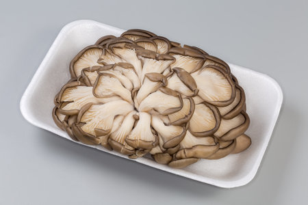 Cluster of cultivated raw oyster mushrooms on the white foam food packaging on a gray background