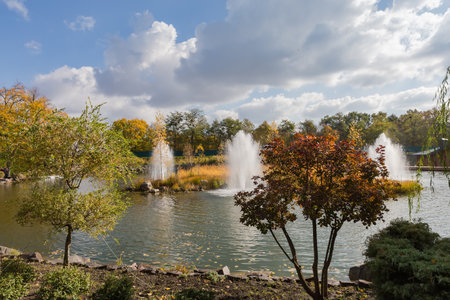 Small scenic pond with fountains around the island in center overgrown with yellow reed in autumn park in sunny dayの写真素材