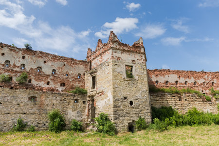 Ruins of the brick defense tower and wall of the mediaeval castle overgrown with different shrubs in Stare Selo village, Ukraine. Panoramic view from the inner courtyard sideの写真素材