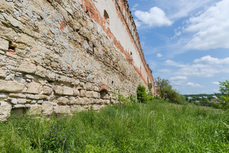 Ruins of the brick and stone defense wall of the mediaeval castle overgrown with different shrubs in Stare Selo village, Ukraine. View from the outsideの写真素材