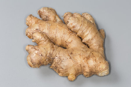 Piece of the washed fresh ginger root on a gray background, top viewの写真素材