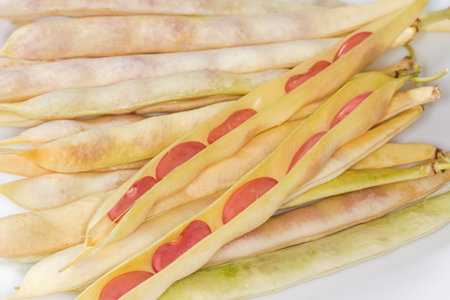 Two open pods of young kidney beans lie on the same whole pods, top view close-up in selective focusの写真素材