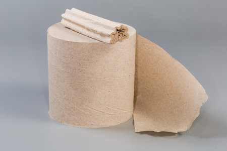 Last remaining part of the toilet paper lies on the whole roll of the same toilet paper on a gray surfaceの写真素材