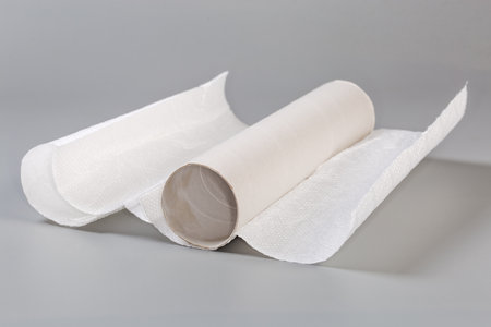 Last remaining sheets of the disposable paper towels on a cardboard tube after the rest has been used of the main part of towel roll on a gray surface, side view in selectivr focusの写真素材