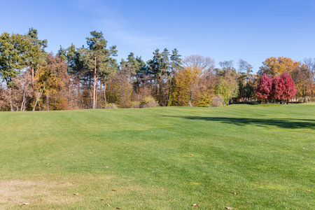 Large glade covered with low trimmed grass on a foreground against distant forest and clear sky in park at autumn sunny dayの写真素材