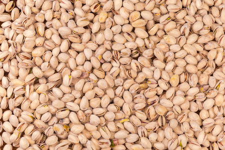 Background of the pile of the roasted salted pistachio nuts with naturally partly open shells, top viewの写真素材