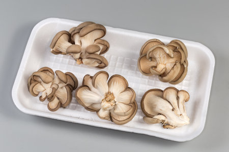 Several small clusters of the freshly harvested cultivated raw oyster mushrooms on a white foam food...