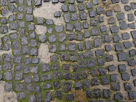 Fragment of wet footpath paved with small rectangular rubble black stone tiles with moss in the intervals between them during the heavy rain, top viewの写真素材