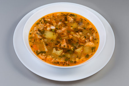 Portion of clear salmon soup in a white bowl on a plate on a gray background, close-upの写真素材